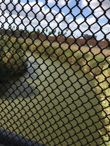 President Trump Issues Executive Orders on Immigration